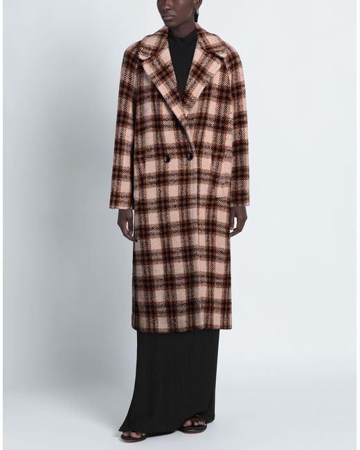 Circolo 1901 Brown Coat