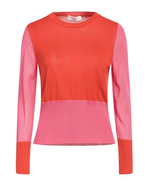 Zanone Pink Sweater