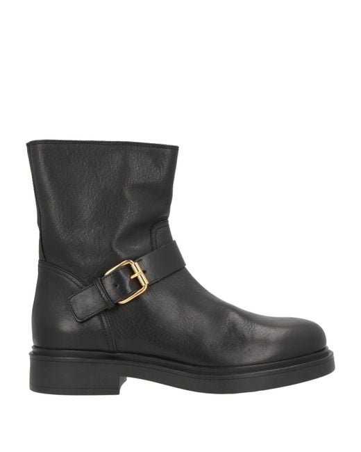 Agl Attilio Giusti Leombruni Black Ankle Boots Leather