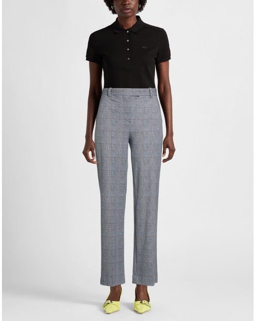 Circolo 1901 Gray Pants Cotton, Elastane