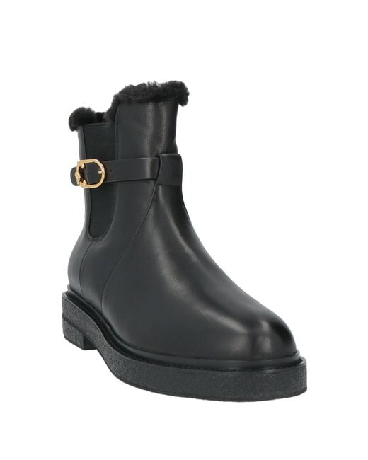 Coccinelle Black Ankle Boots