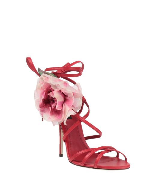 Dolce & Gabbana Pink Sandals