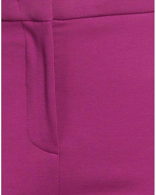 Pinko Purple Hose