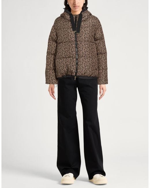 Herno Brown Puffers