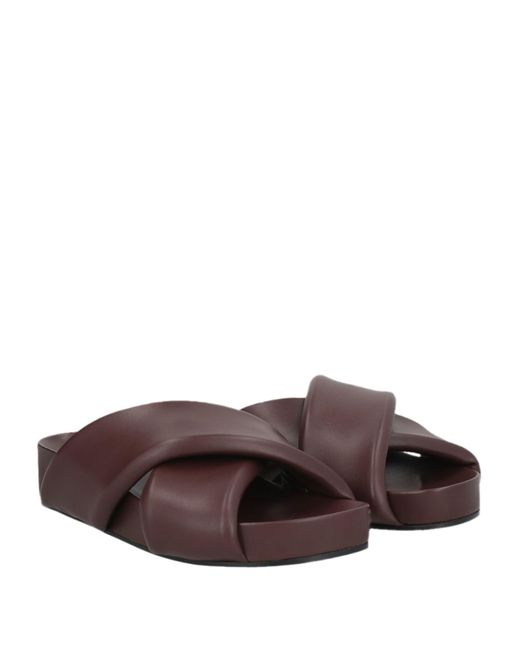 Jil Sander Brown Nappa Leather Flat Sandals