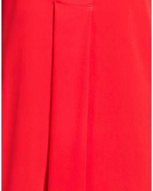 Beatrice B. Red Top