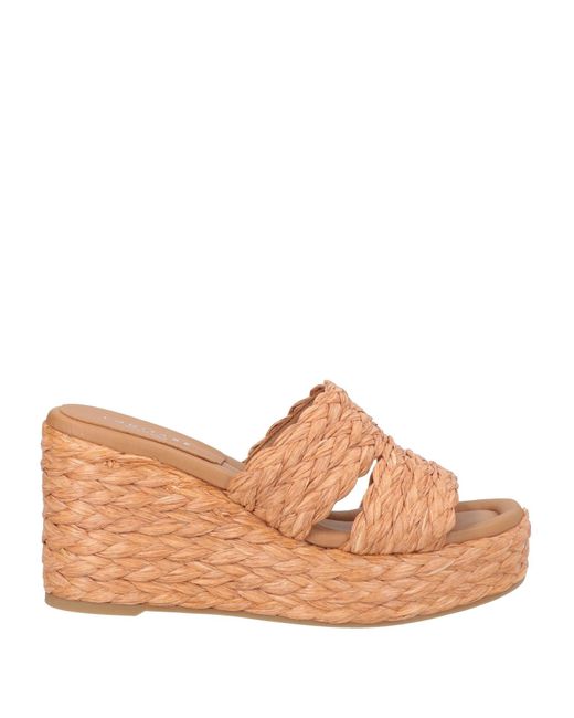 Eqüitare Brown Espadrilles