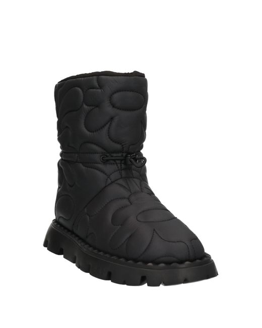 Ash Black Ankle Boots