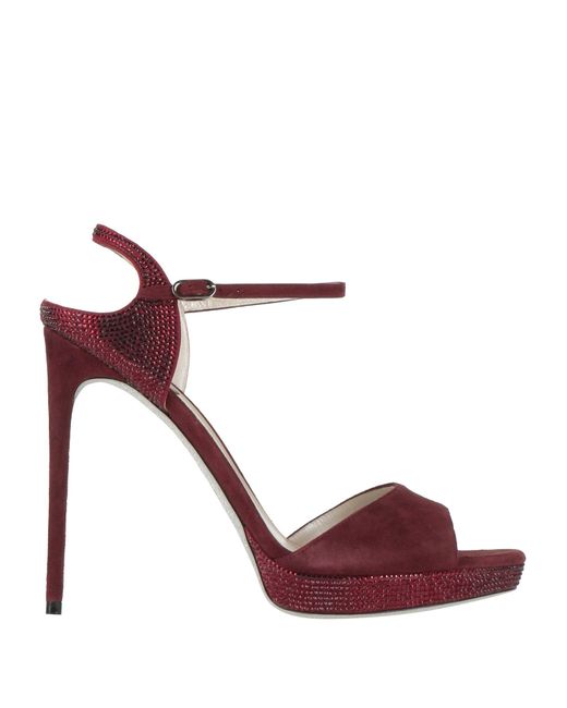 Rene Caovilla Red Sandale