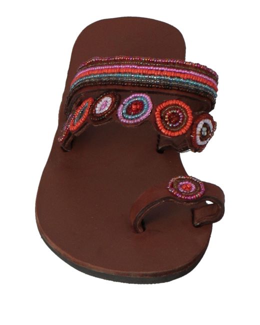 Aspiga Brown Thong Sandal