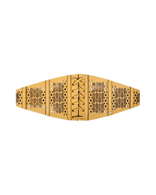 Elisabetta Franchi Metallic Belt Cow Leather