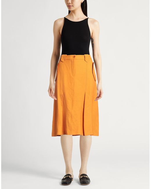 Gonna Midi di Alberta Ferretti in Orange