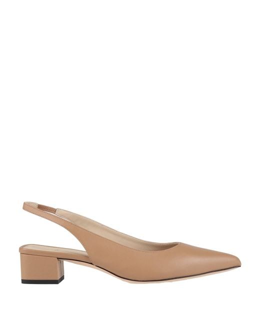 Theory Natural Pumps