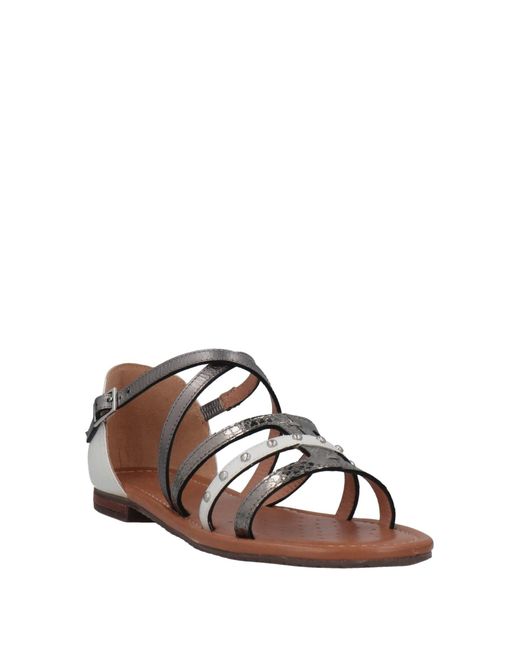 Geox Brown Sandals