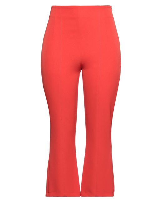 Hanita Red Pants