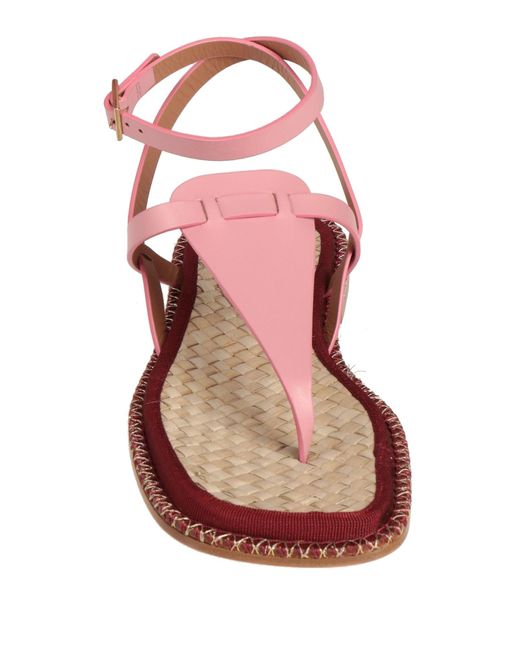 Paola D'arcano Pink Thong Sandal