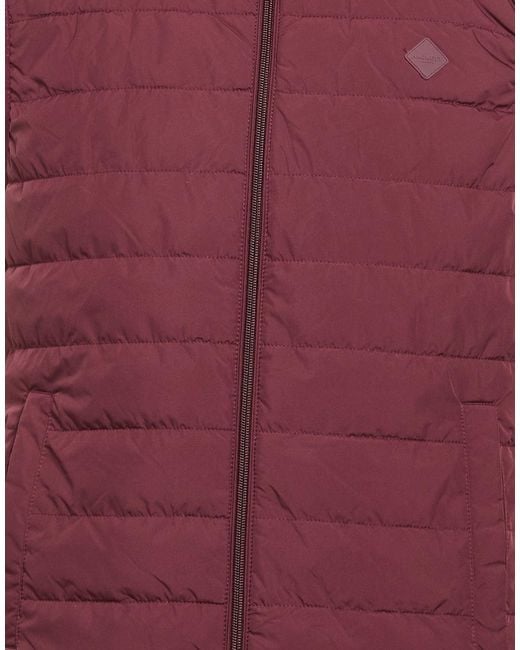 Hackett Purple Vests for men
