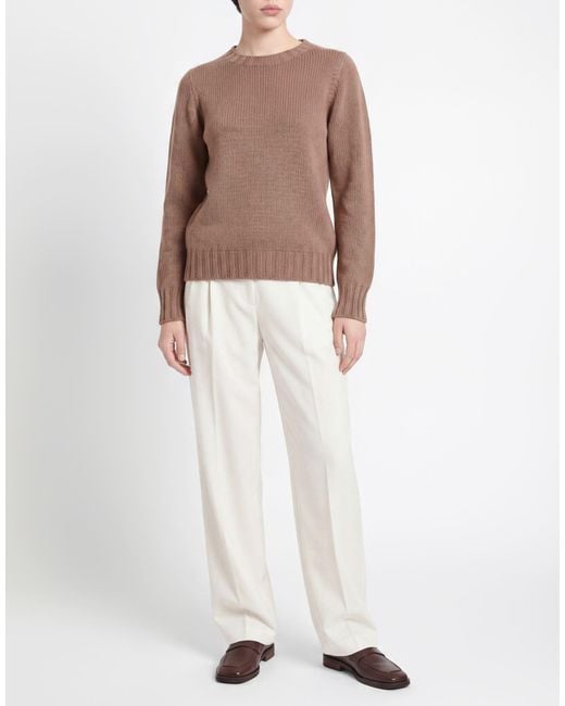 Pullover Aragona de color Brown