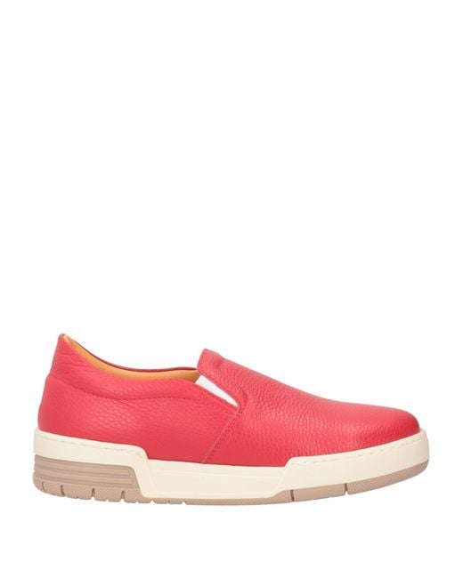 Lemarè Pink Trainers