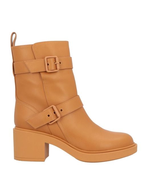 Gianvito Rossi Brown Ankle Boots