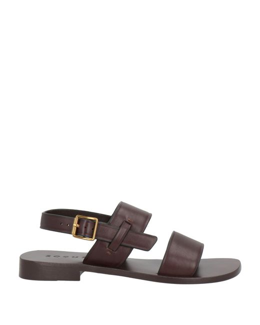 Soeur Brown Sandals