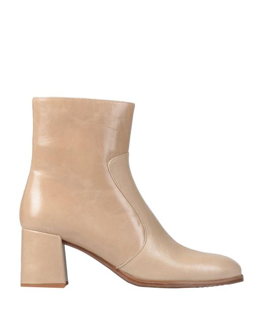 Bruno Premi Brown Ankle Boots