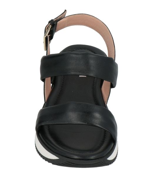Pollini Black Sandals