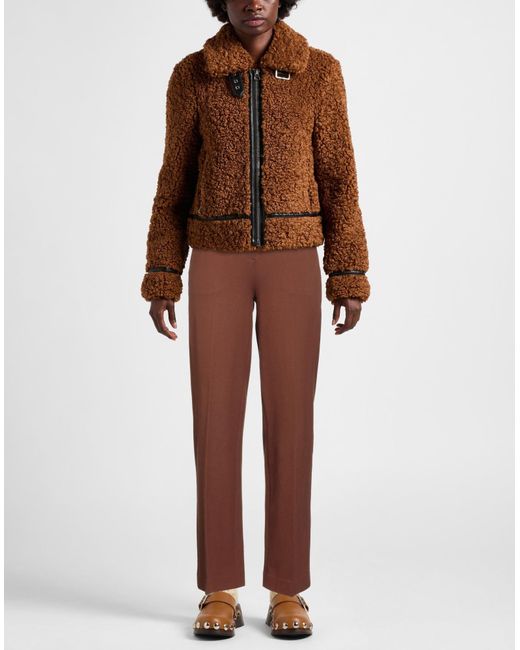 Circolo 1901 Brown Trouser