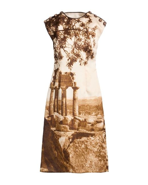 Dolce & Gabbana Metallic Midi Dress