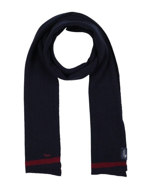 Harmont & Blaine Blue Scarves for men