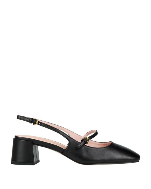 Coccinelle Black Pumps