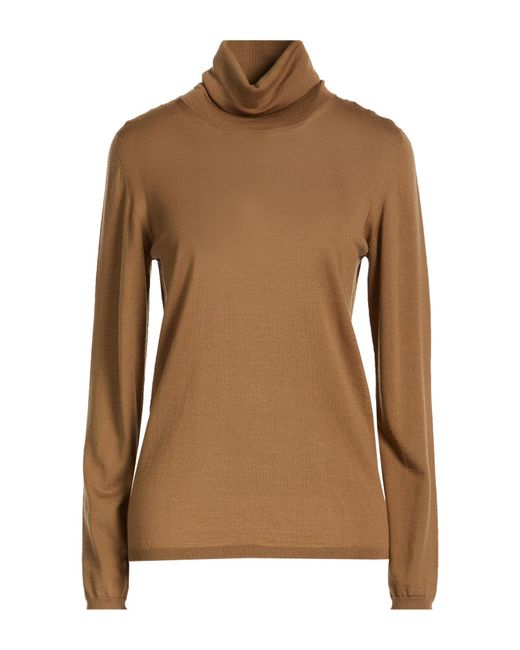 Max Mara Brown Turtlenecks