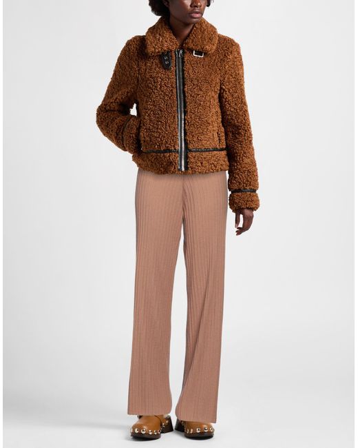 Antonelli Brown Hose