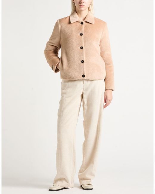 Peserico Natural Shearling & Teddy