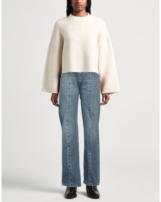 Y. Project Blue Jeans