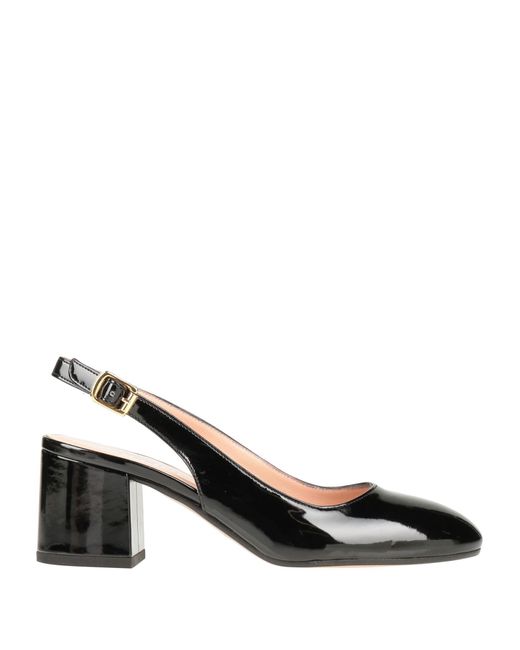 pollini pumps