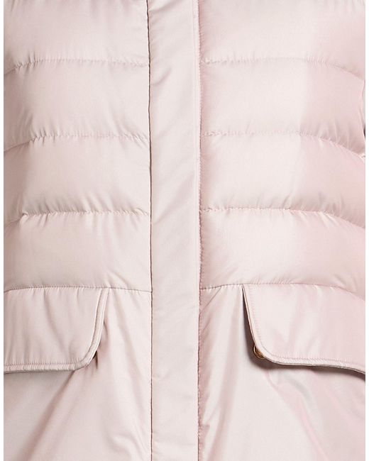 Moorer Pink Puffer