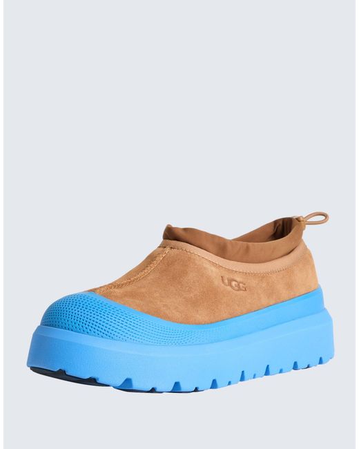 Ugg Blue Ankle Boots for men