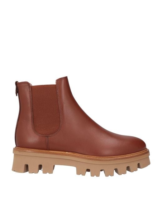 Agl Attilio Giusti Leombruni Brown Ankle Boots