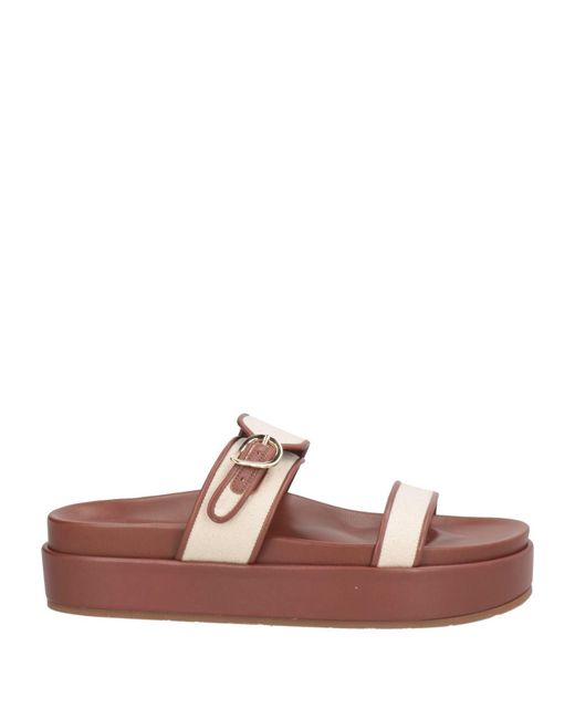 Ancient Greek Sandals Brown Sandals Textile Fibers, Leather