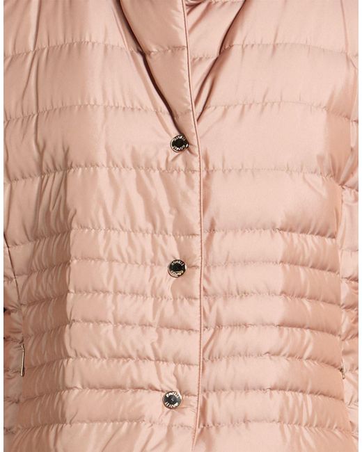 Moorer Pink Puffer