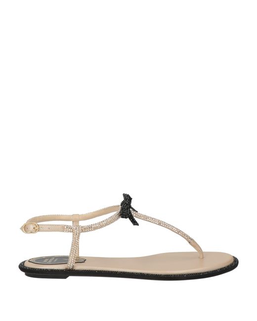 Rene Caovilla White Thong Sandals