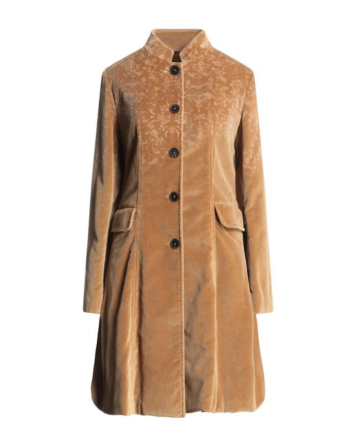 High Brown Coat