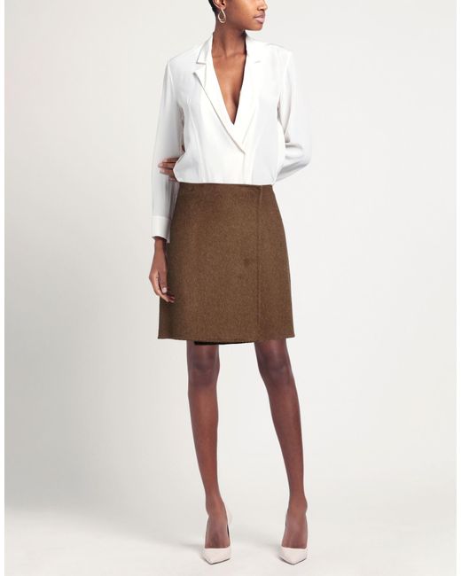 P.A.R.O.S.H. Brown Mini Skirts