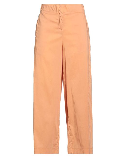 Jijil Orange Pants Cotton, Polyamide, Elastane