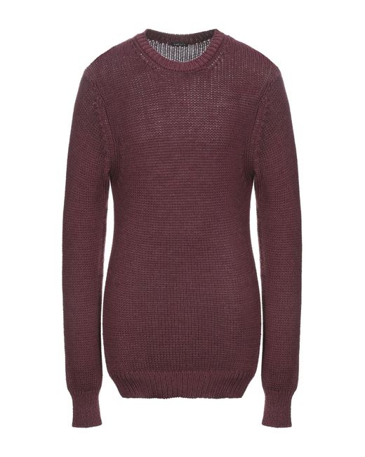 Retois Purple Sweater for men