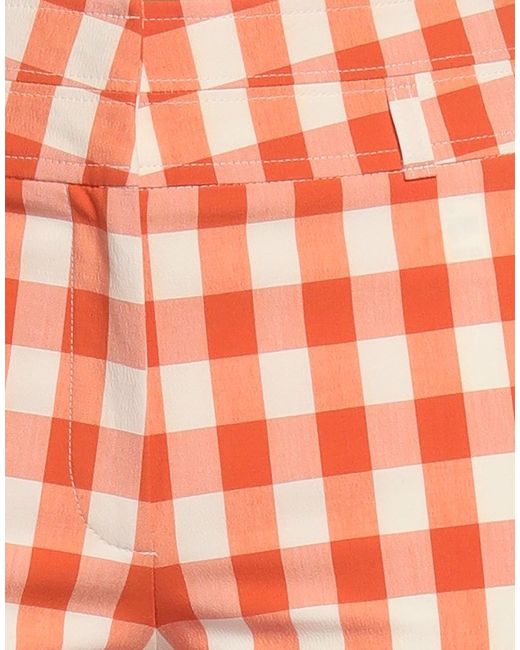 Incotex Orange Pants Cotton, Elastane