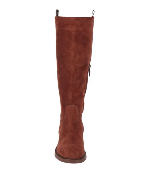 Doucal's Red Boot