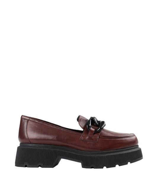 Bruno Premi Brown Loafers Bovine Leather