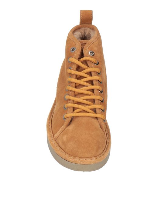 Pànchic Brown Sneakers Leather